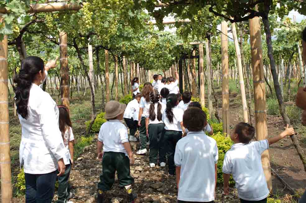 El Valle se pone como una uva