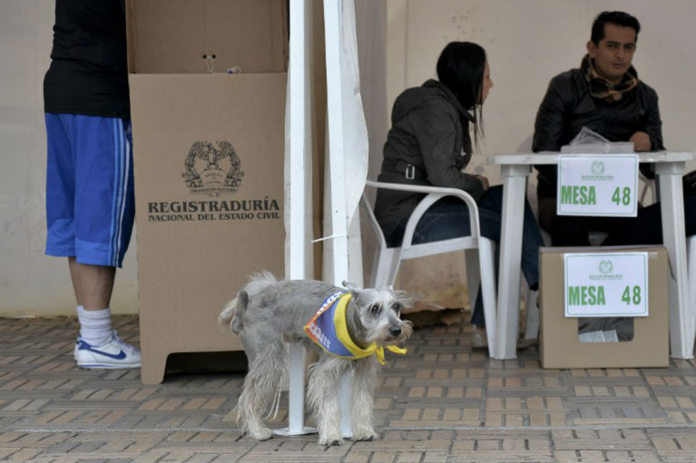 Vida de perro en 14 imágenes