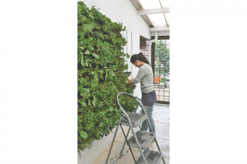 La construcción de estos particulares jardines es sencilla y puede hacerse tanto en espacios interiores como exteriores./ Cortesía de Ecotelhado