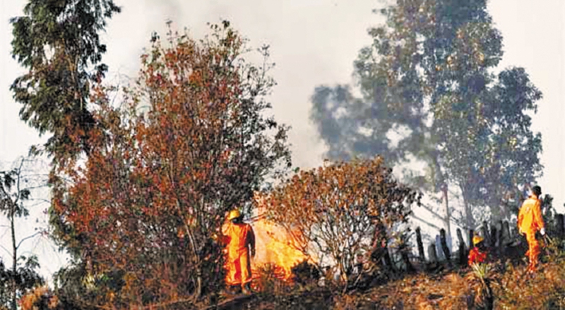 Los incendios que sí necesitamos