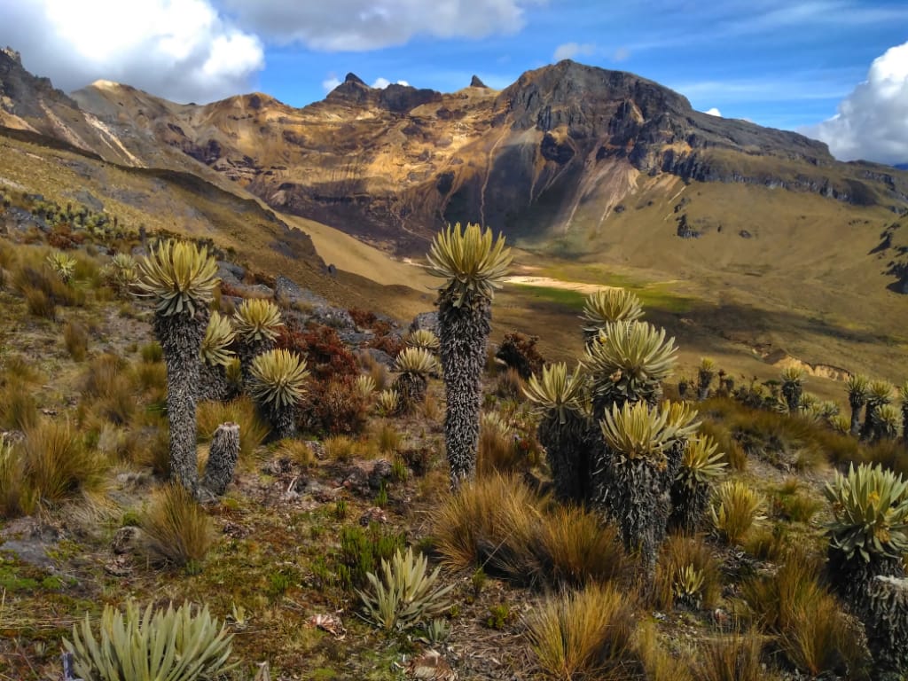 La conservación de los humedales en las áreas protegidas del Quindío