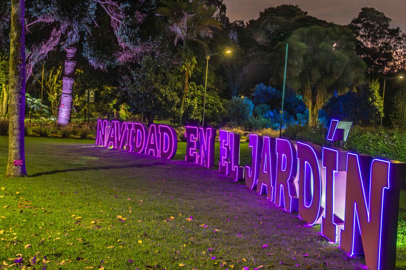 La celebración, llamada Magia Natural, combina el espíritu navideño con la biodiversidad que caracteriza al Jardín.