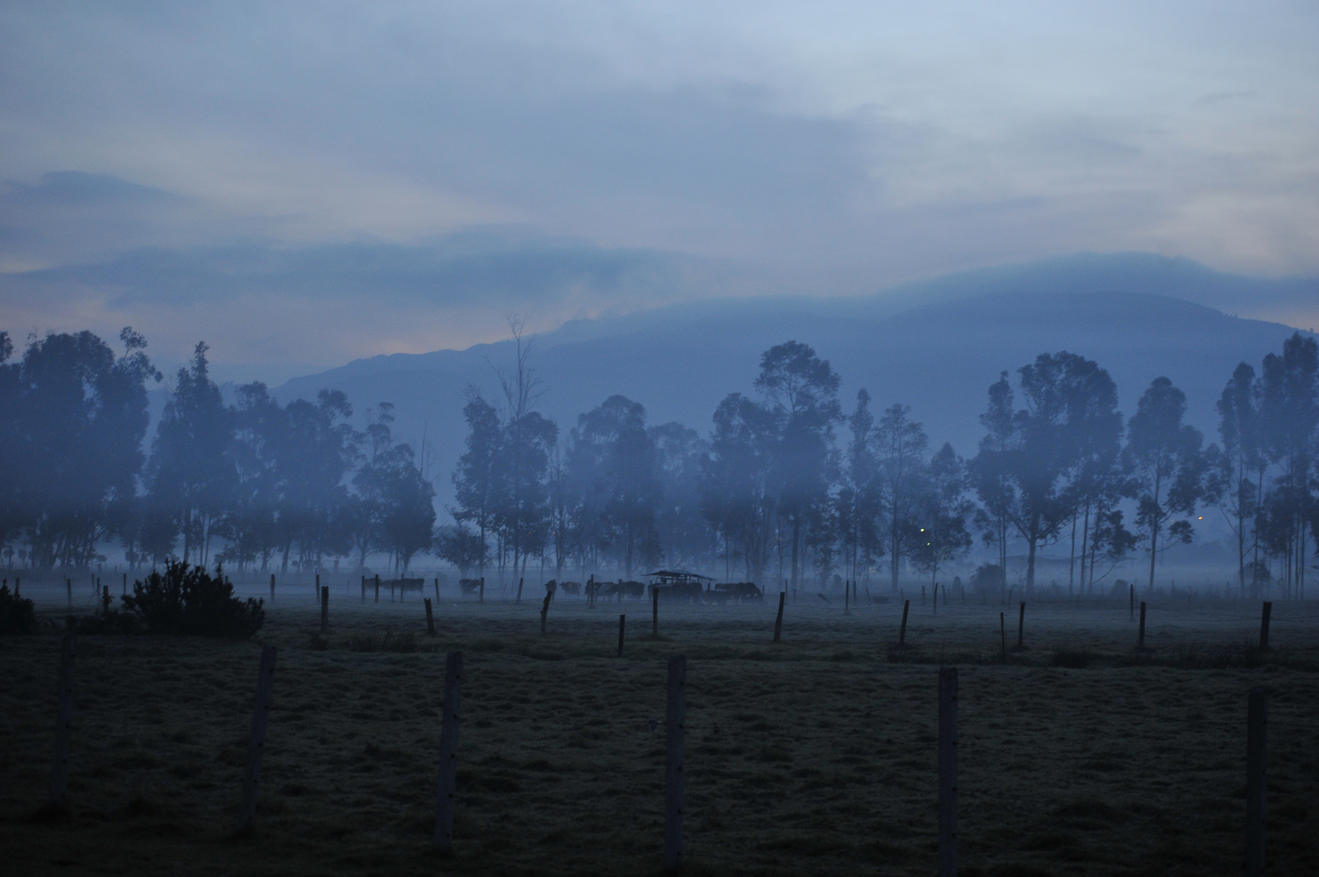 MinAmbiente y Distrito se reúnen para definir lineamientos de la Sabana de Bogotá