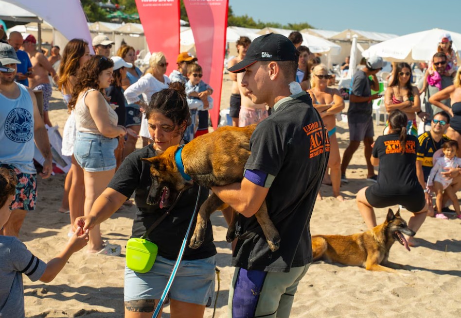 Así es el entrenamiento de los perros de rescate acuático que salvan vidas en el mar