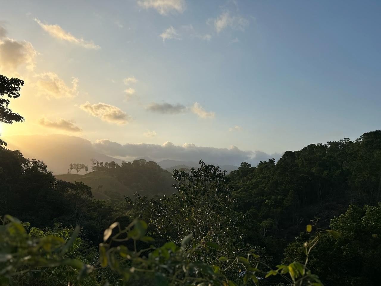 El Chocó biogeográfico es una de las regiones de importancia ambiental claves del país por su biodiversidad.