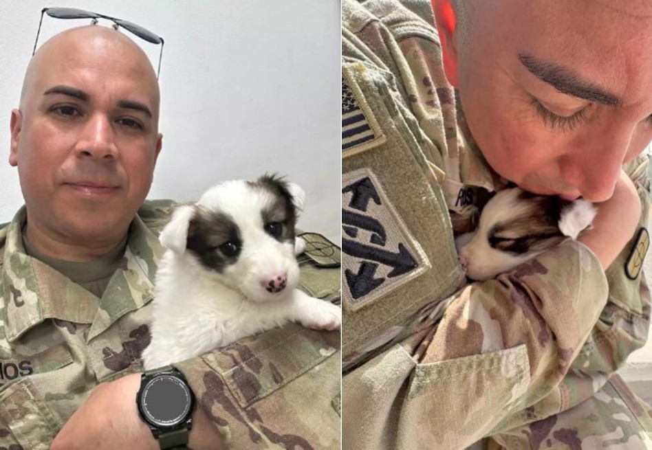 Mientras patrullaba en el desierto, Ríos encontró a la cachorra abandonada.