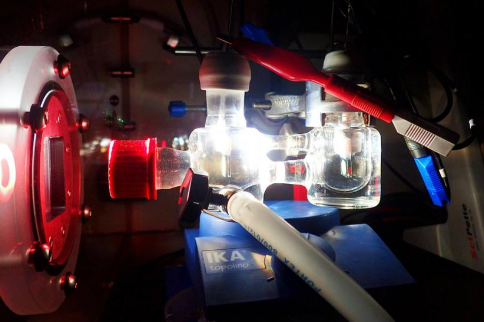 Fotosíntesis artificial, una forma de convertir la luz solar en combustible