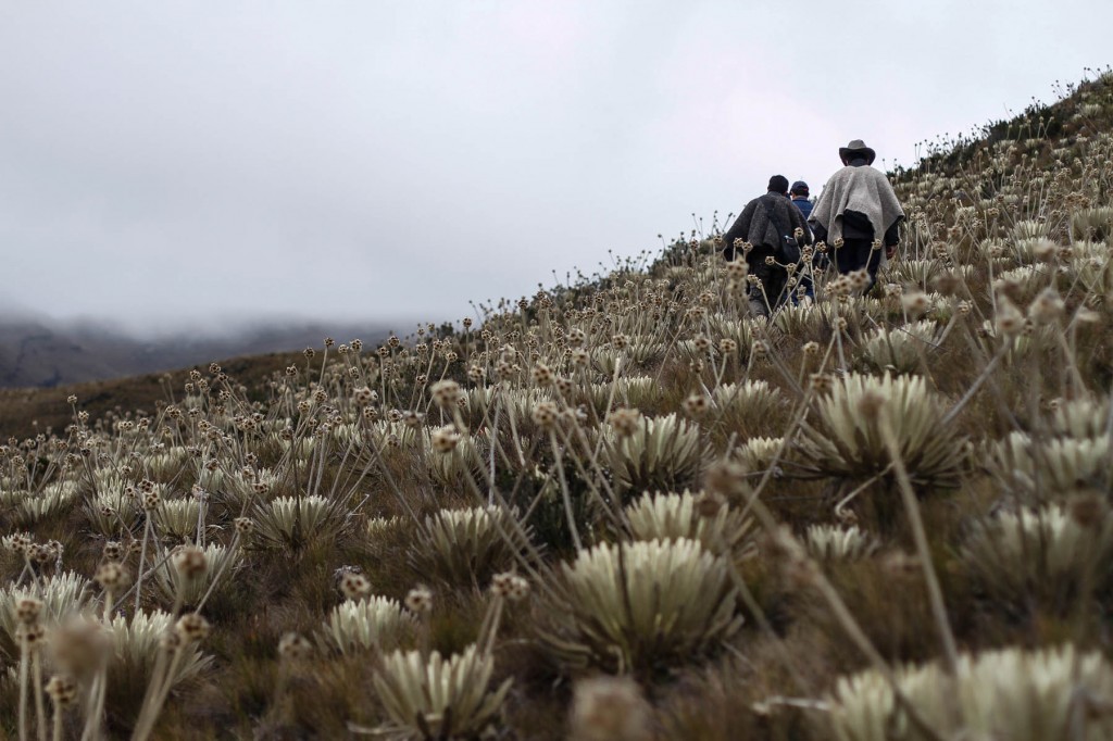 Lanzan documental sobre la relación entre el cambio climático y las mujeres rurales