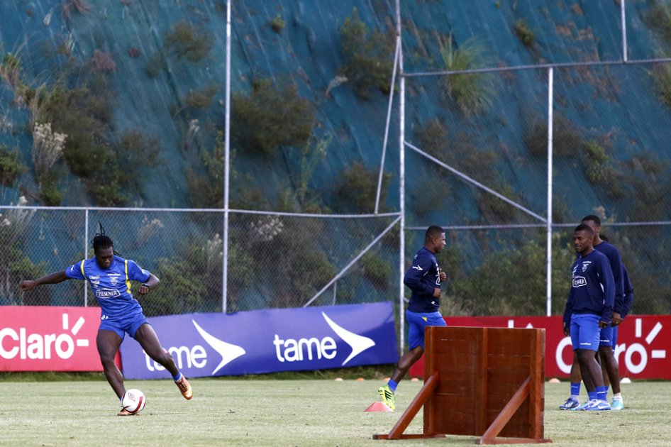 Felipe Caicedo cuenta con el alta médica para jugar con Ecuador