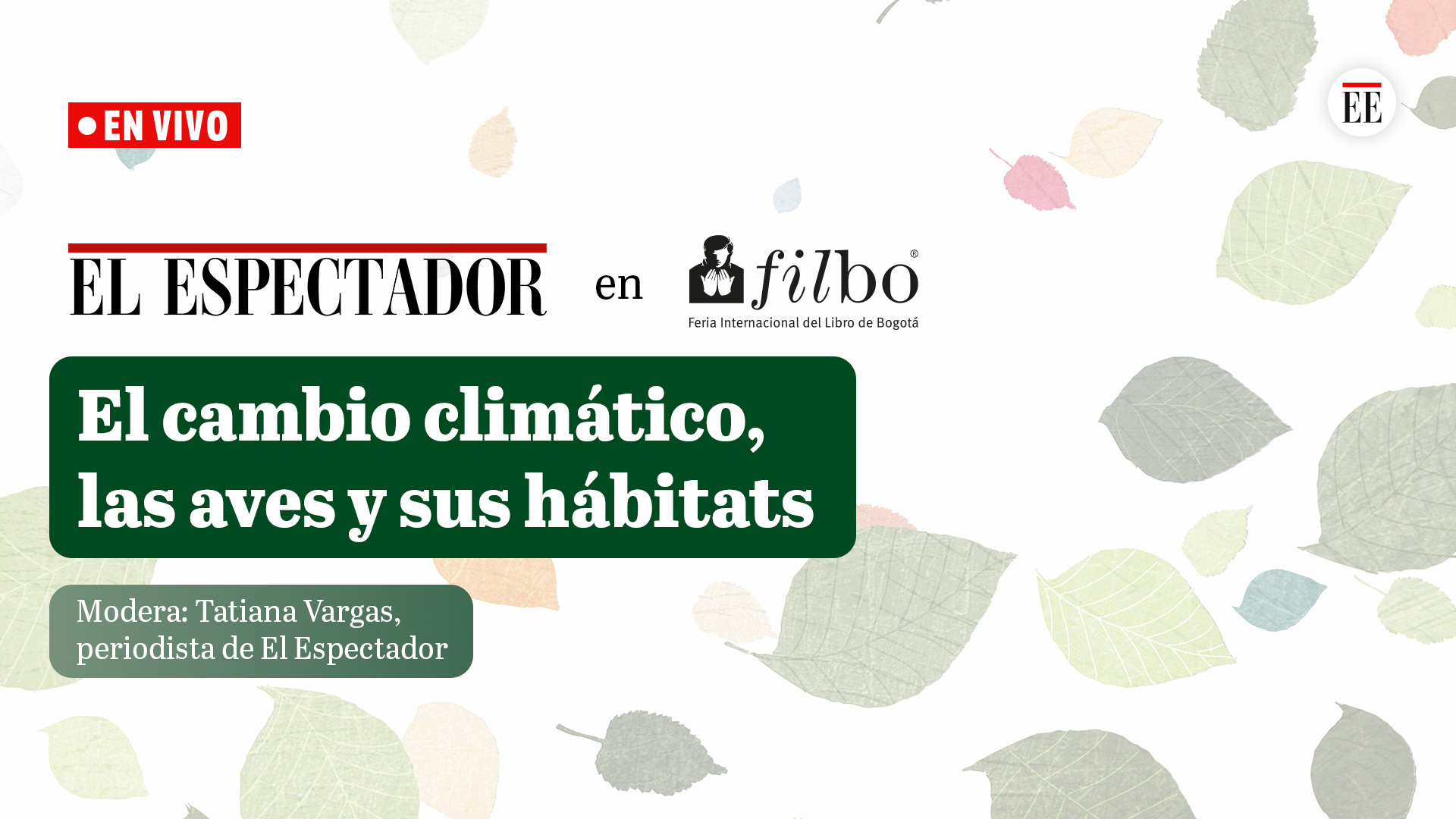 Aves sufren las consecuencias del cambio climático: ¿cómo podemos ayudar?