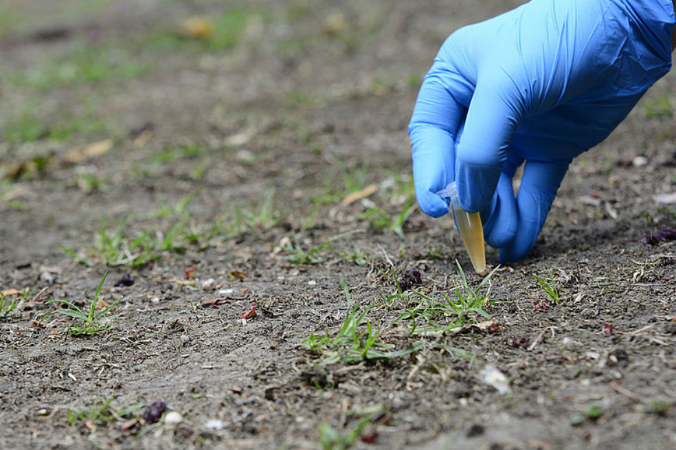 Microorganismos de la Antártida permitirían cultivar suelos infértiles