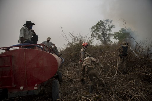 Bomberos y granjeros en el estado de Mato Grosso tratando de contener los incendios.