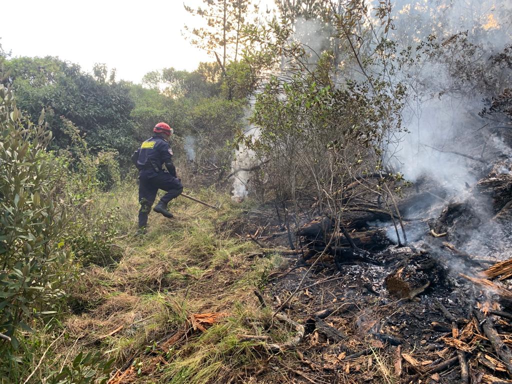 Incendios forestales en Cundinamarca: lo que deja el fenómeno de El Niño y las basuras