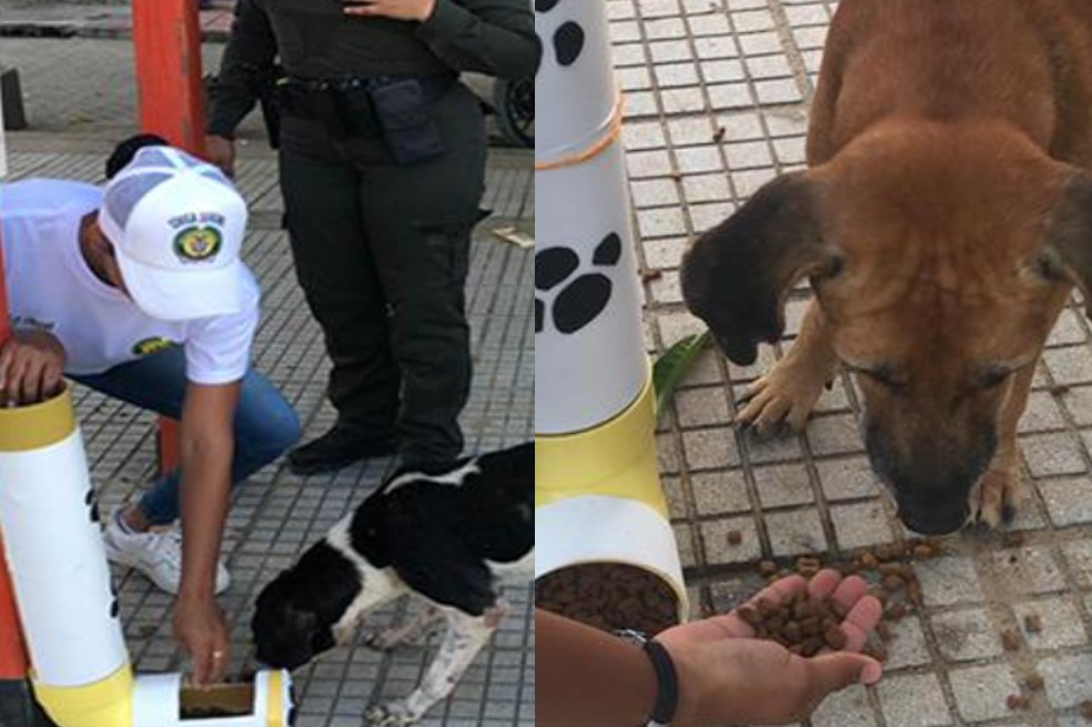 Policía instala dispensadores de comida para perros abandonados en El Carmen de Bolívar