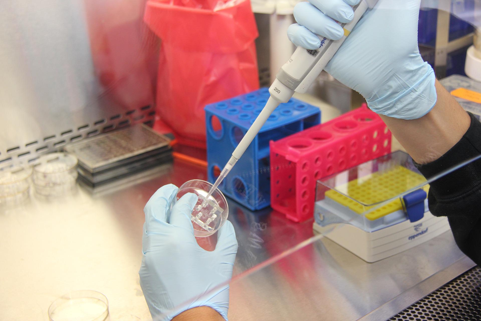 Hay 3 millones de dólares para emprendimientos con foco en biotecnología