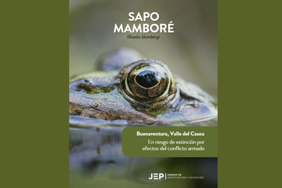 Sapo mamboré (Rhaebo blombergi): Se encuentra principalmente en Buenaventura (Valle del Cauca), pero su distribución se extiende desde Ecuador hasta departamentos como Cauca y Chocó.