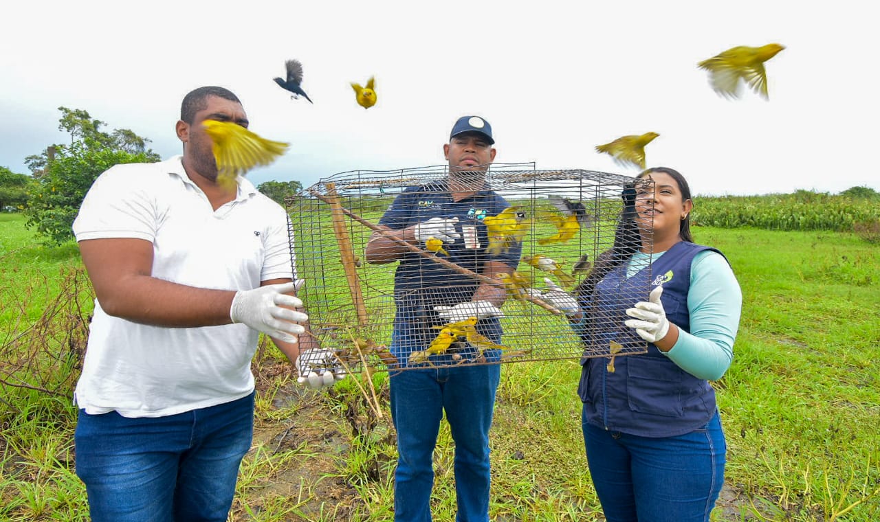Más de 40 animales silvestres fueron liberados cerca al Canal del Dique