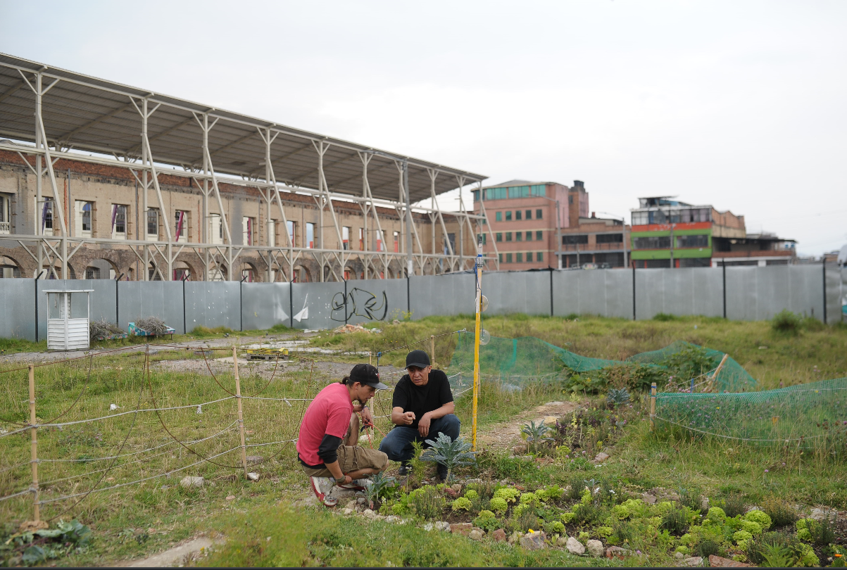 Huerta del Bronx