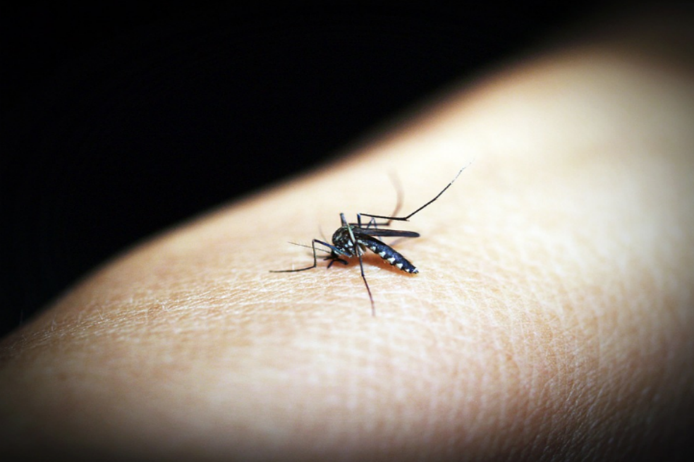Preocupación por llegada de migrantes ilegales y casos de malaria en Acandí, Chocó