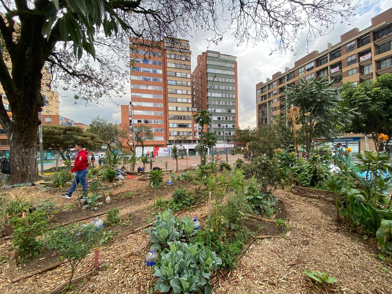 La emblemática huerta Alison podría abandonar el Parque de los Hippies: esto se sabe