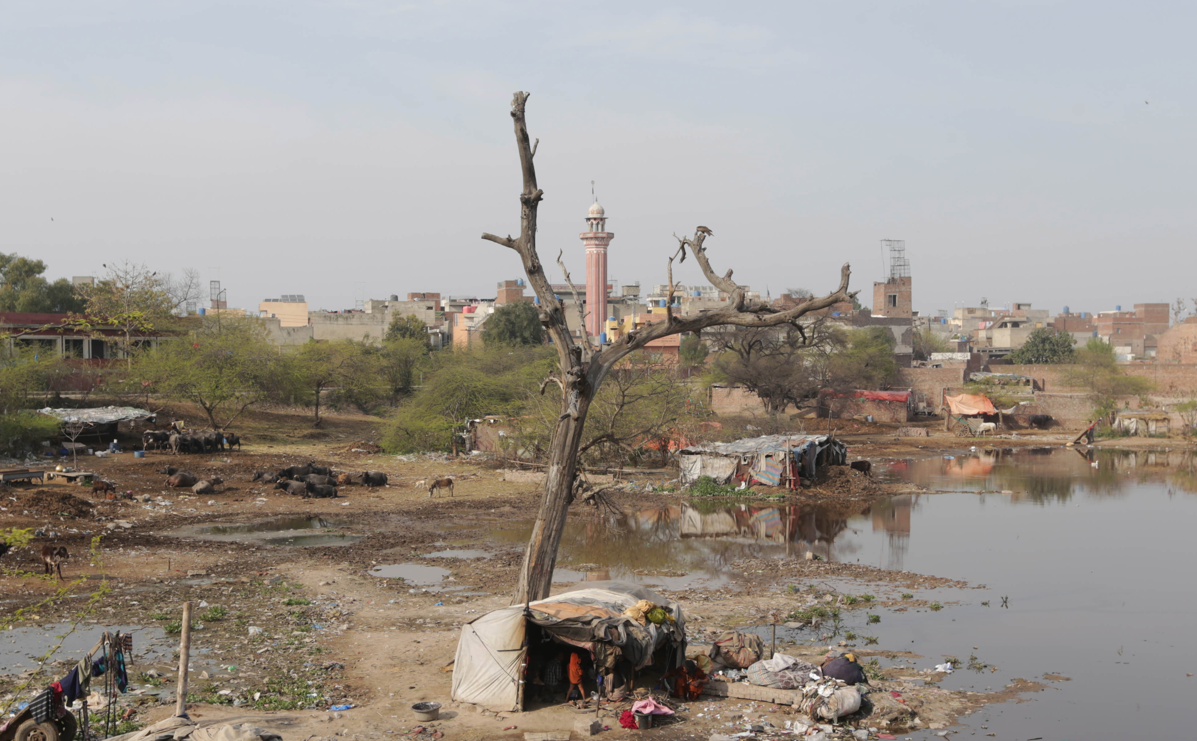 Levantarán una ciudad junto a uno de los ríos más contaminados, pero ¿a qué costo?