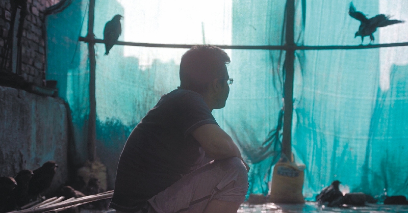 “Todo lo que respira”: El documental nominado a los Óscar que llega a HBO Max