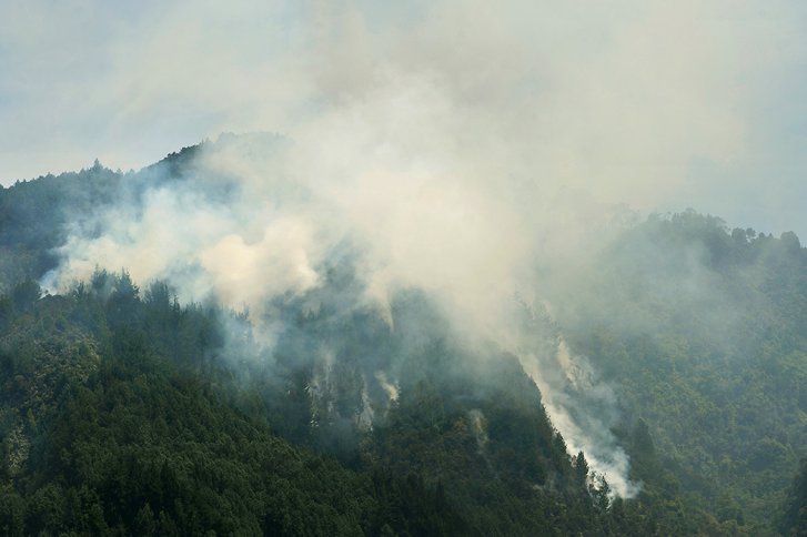 Aún no ha sido controlado el incendio forestal en cerro de Monserrate