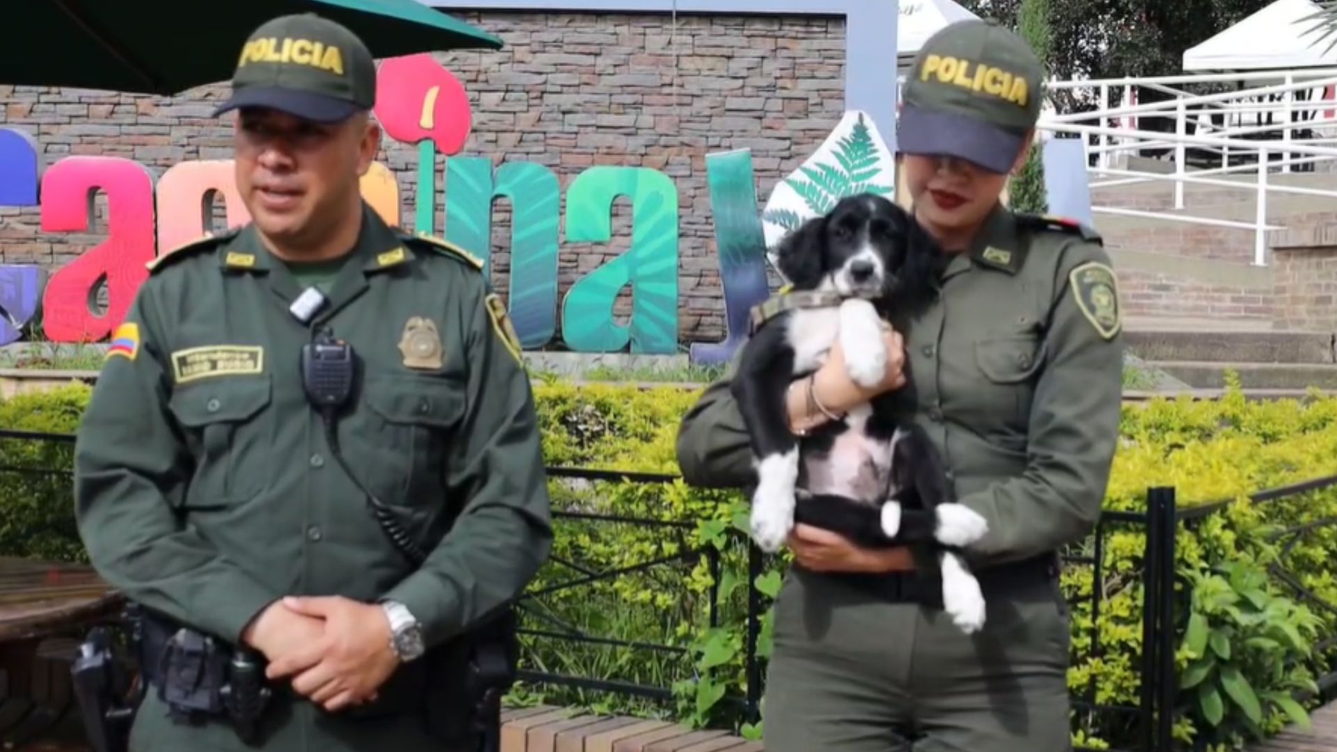 El canino se encontraba dentro de un costal.