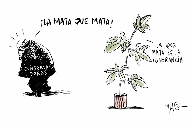 Mheo