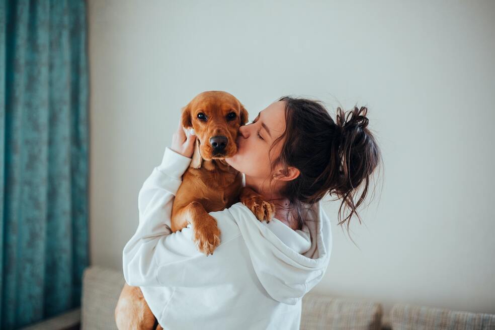 ¿Por qué es importante tener un gato o perro en la casa? Ventajas y beneficios
