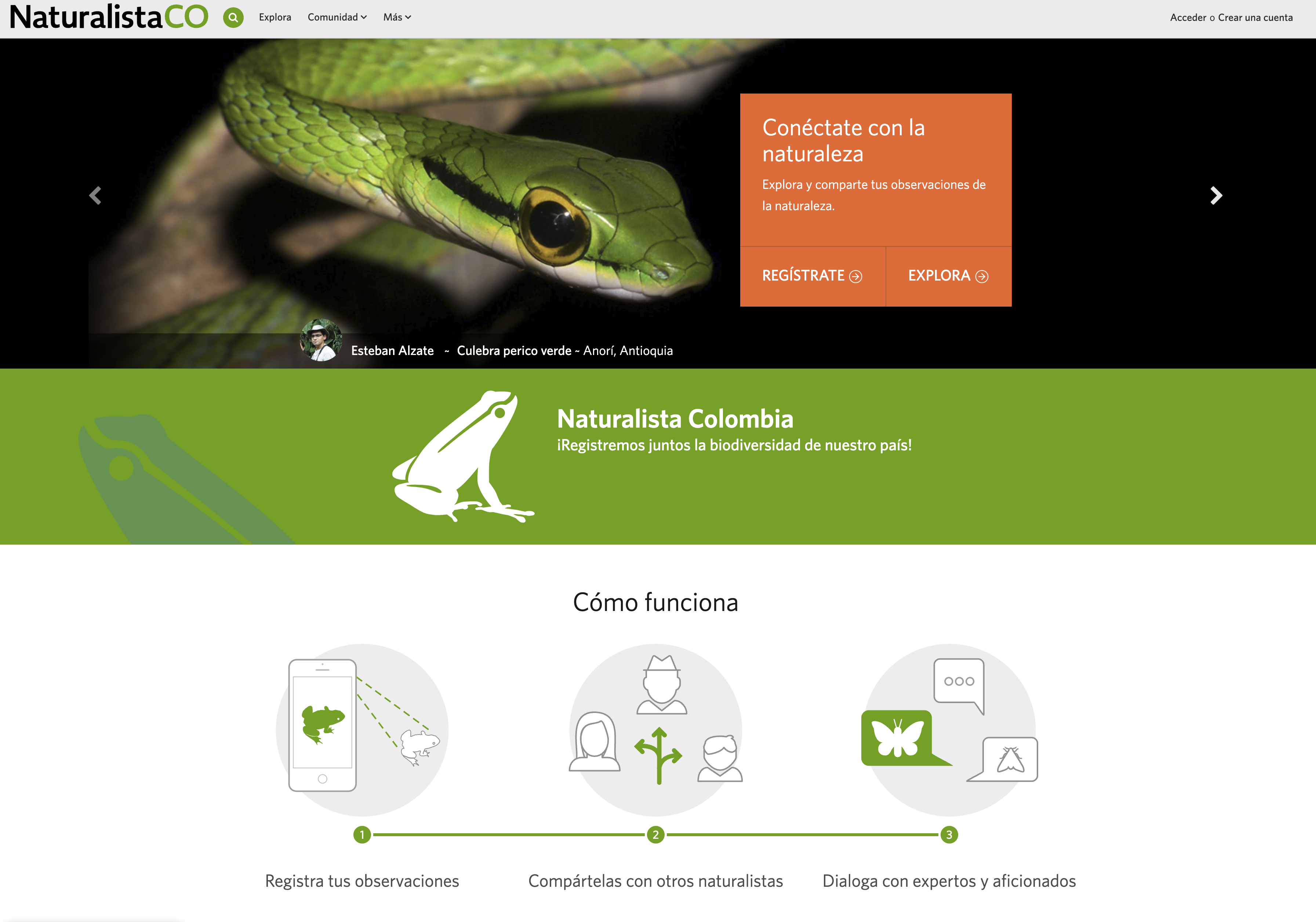 Imagen de Naturalista Colombia