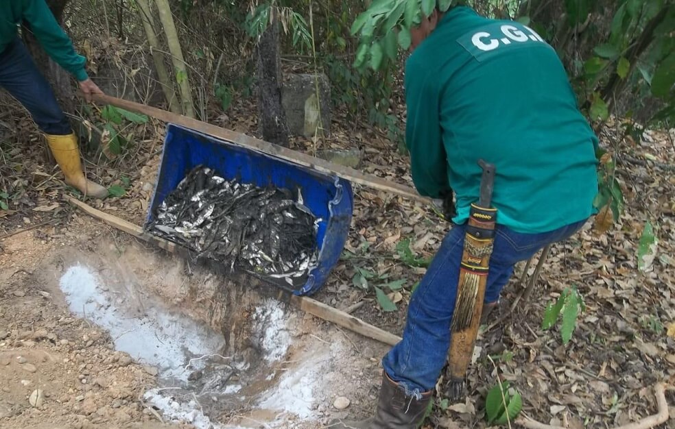 Comunidad reporta mortandad de peces en el Magdalena Medio