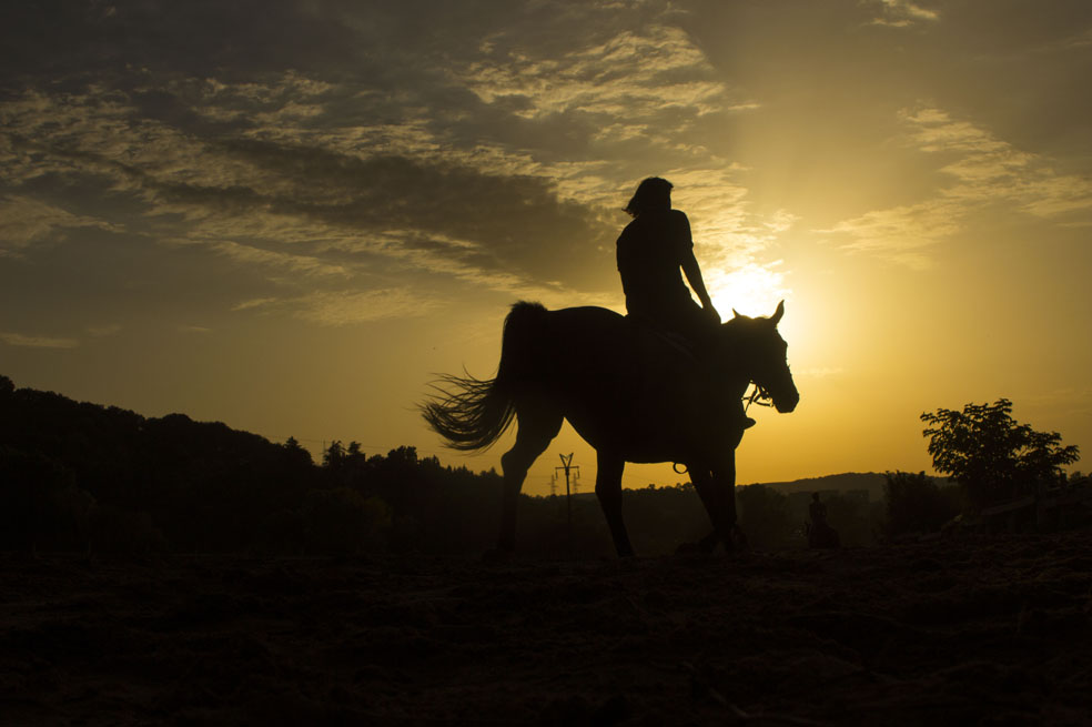 El placer de cabalgar