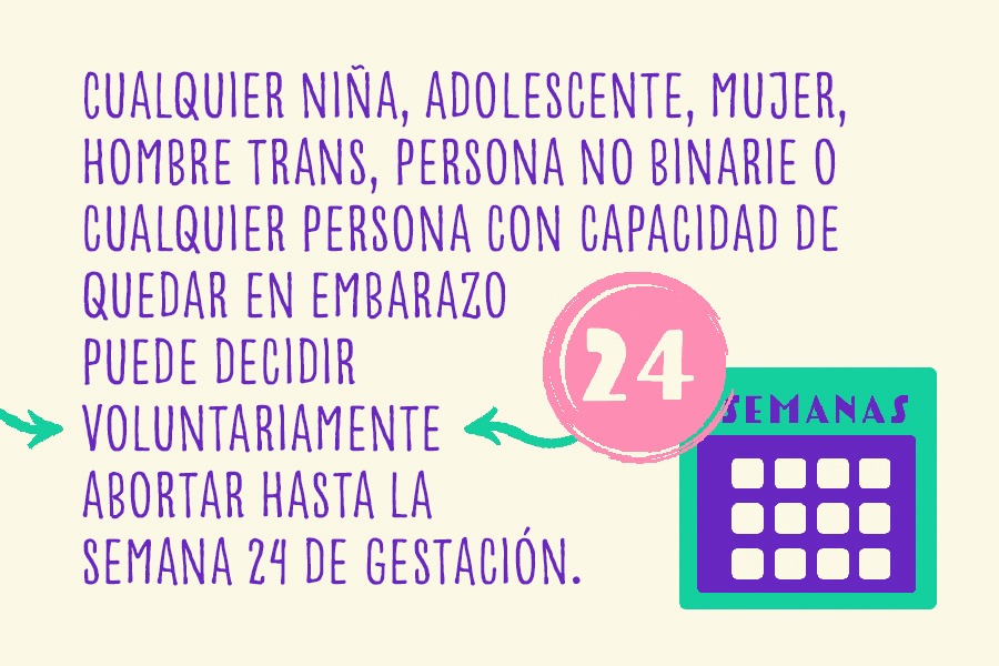 Cualquier niña, adolescente, mujer, hombre trans, persona no binarie o cualquier persona con capacidad de quedar en embarazo puede decidir voluntariamente abortar hasta la semana 24 de gestación.