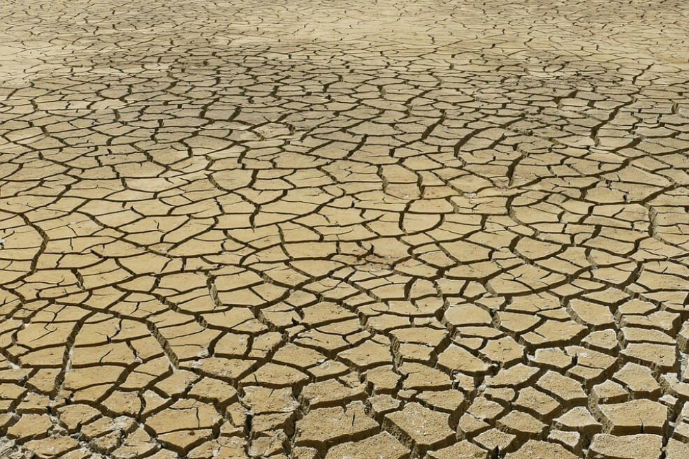 La humanidad ya agotó los recursos del planeta para este año, según ONG