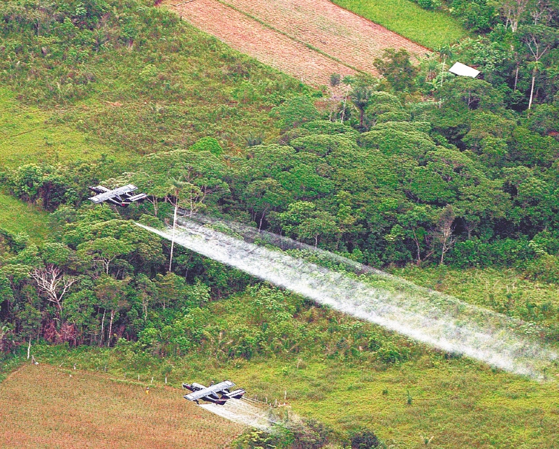 El eje del proceso es la supuesta aspersión aérea denunciada por un vecino de los predios de Colombia Agro. / Archivo