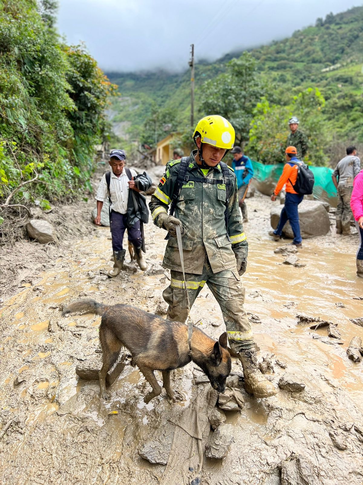 Oli y Romina, perros rescatistas como Wilson, ayudan en la avalancha en Quetame.