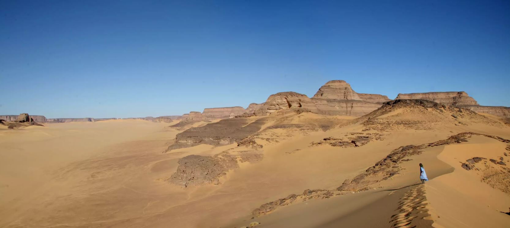 Lo que revela el ADN de quienes poblaron el Sahara, cuando era una sabana verde