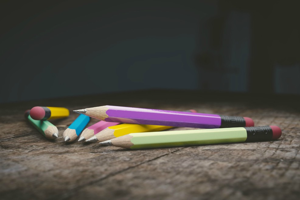 Una finca y compra de ganado, el nuevo lío de la Escuela de Artes y Letras