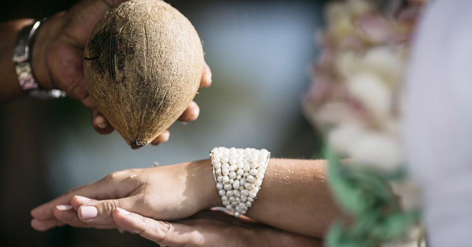 El coco, mucho más que una fruta tropical