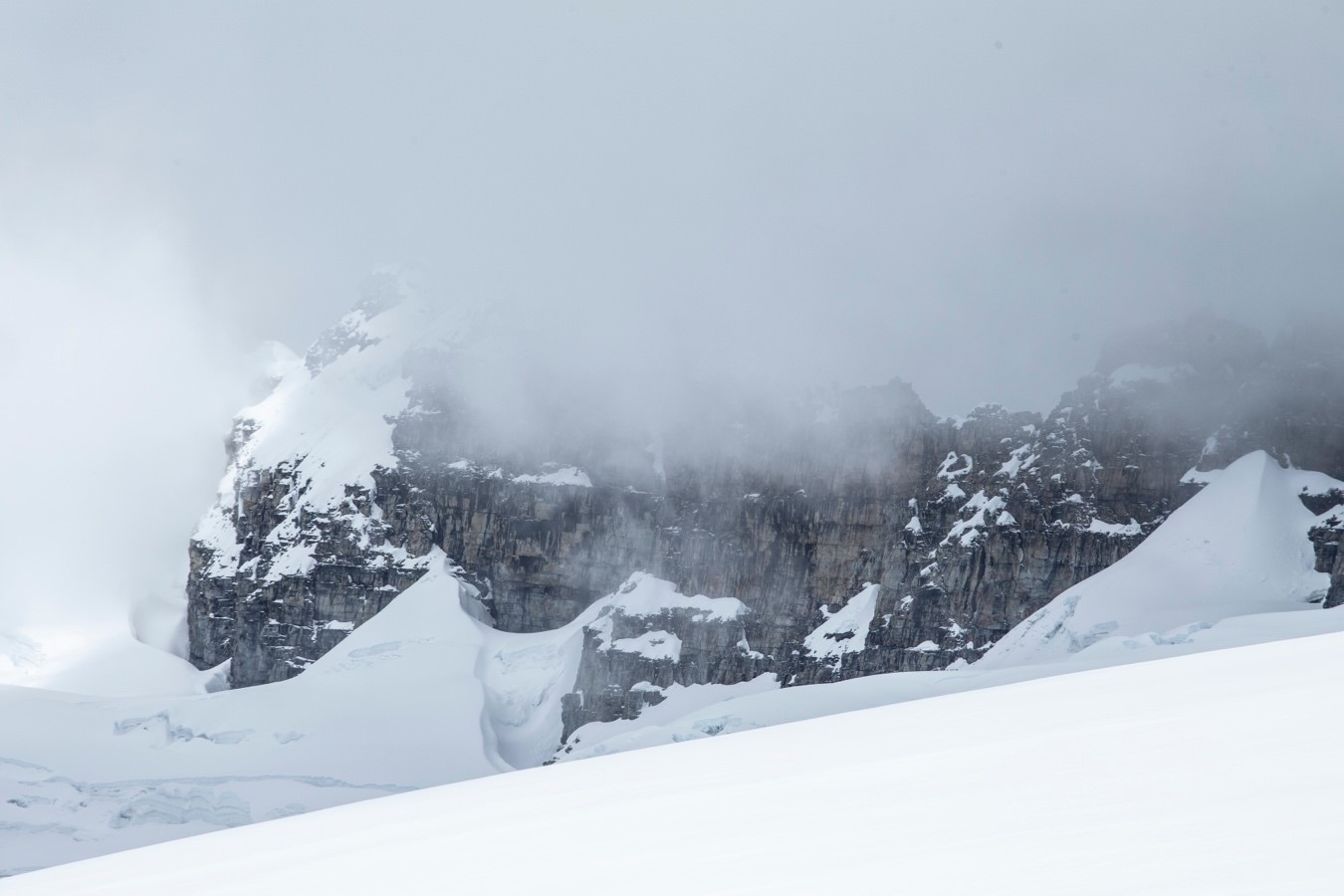 Ritabuca negro. Parque Nacional Natural El Cocuy. Se estima que en los últimos 2 siglos se ha perdido el 92 % de los nevados en Colombia, tan solo quedan seis de ellos, es posible que dentro de los próximos 30 años todos hayan desaparecido.