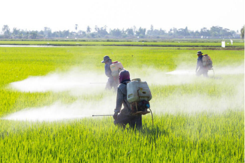 Glifosato, el pesticida que enfrenta a los científicos