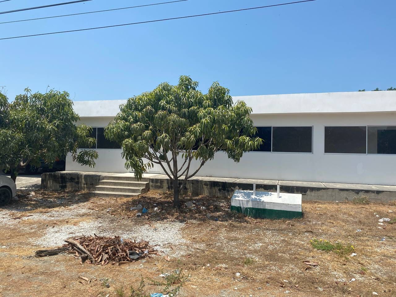 Santa Marta: las promesas incumplidas en materia de bienestar animal