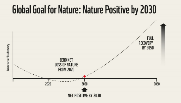 Meta global 2030