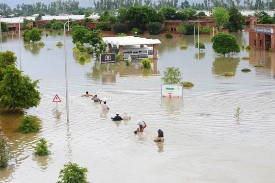 Deforestación y cambio climático generan crecidas de los ríos en el Cono Sur