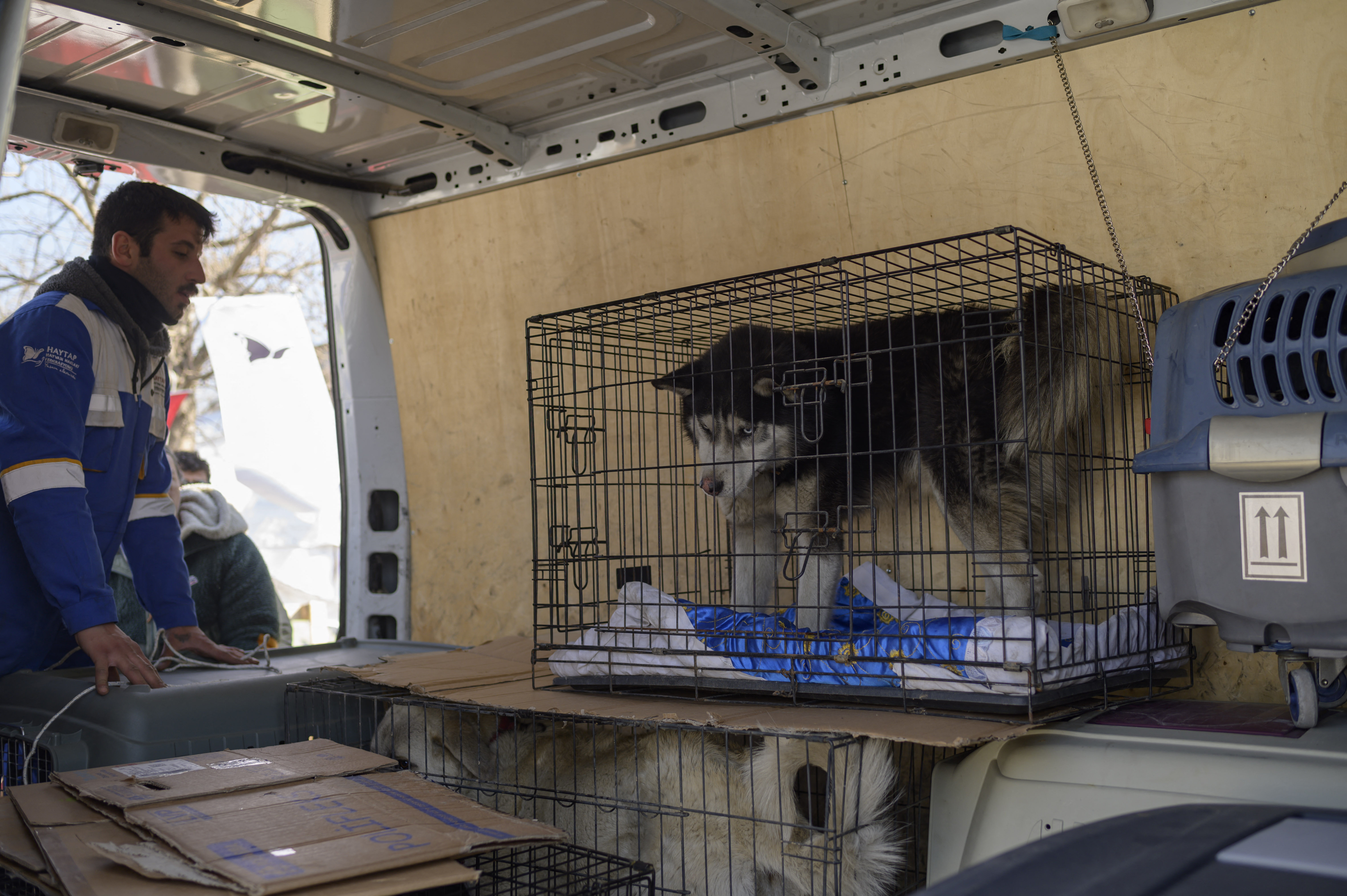 Desde que el sismo de magnitud 7,8 sacudió la región el pasado 6 de febrero, dejando más de 45.000 muertos en Turquía y Siria, cientos de gatos, perros, conejos y pájaros siguen atrapados bajo los escombros que dejó el devastador terremoto.