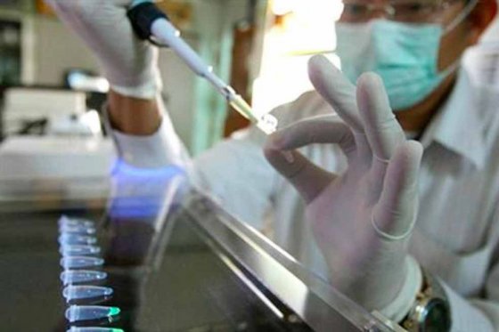 Corte ordena a Minsalud definir envío de preembriones a Estados Unidos