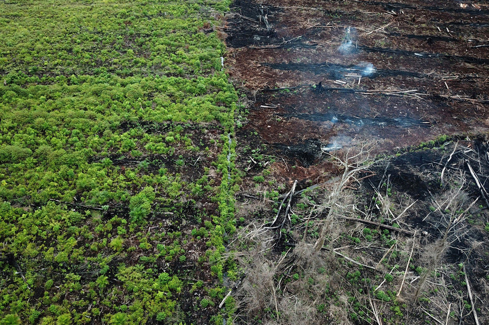 “El progreso en Latinoamérica necesita respetar los límites de la naturaleza”