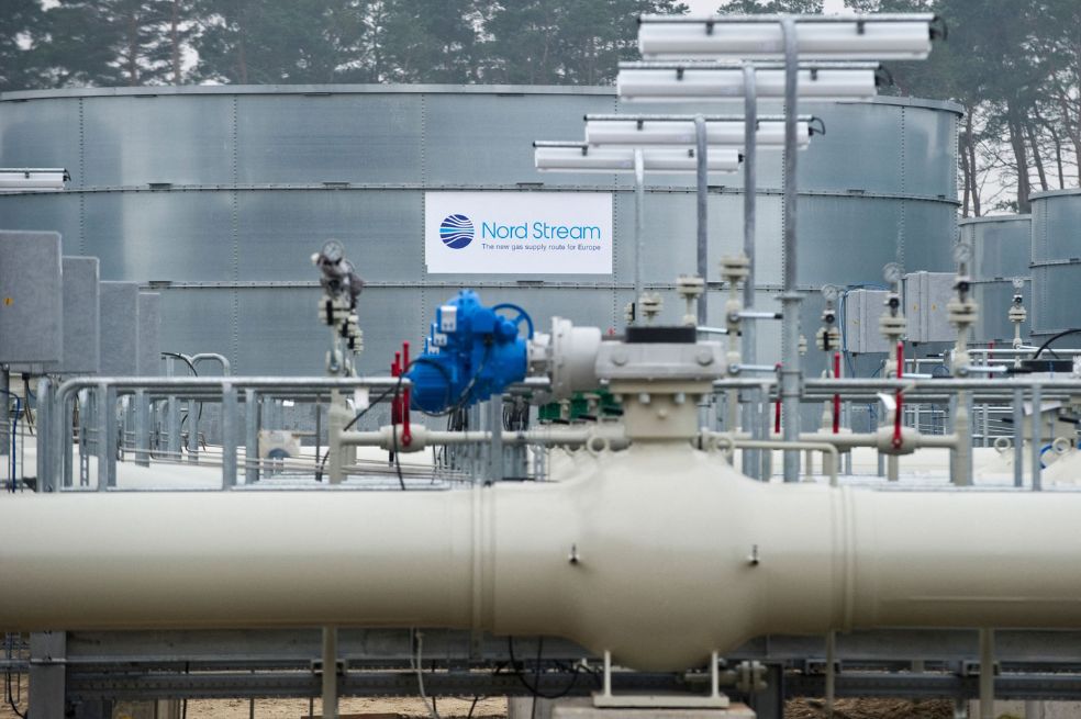 ¿La venganza de los “cerdos”? El recorte sobre el gas que dividió a Europa