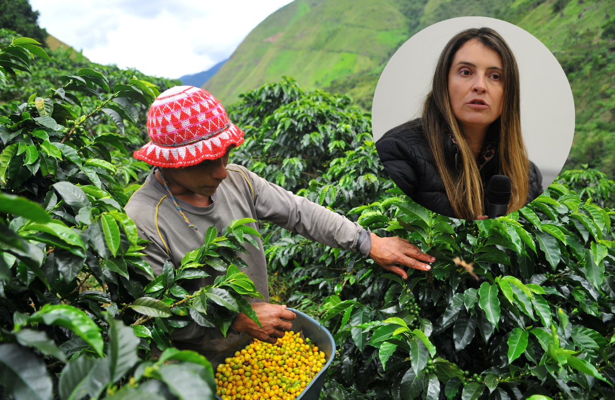 Alerta por proyecto de la oposición que afectaría recursos de crédito para el agro